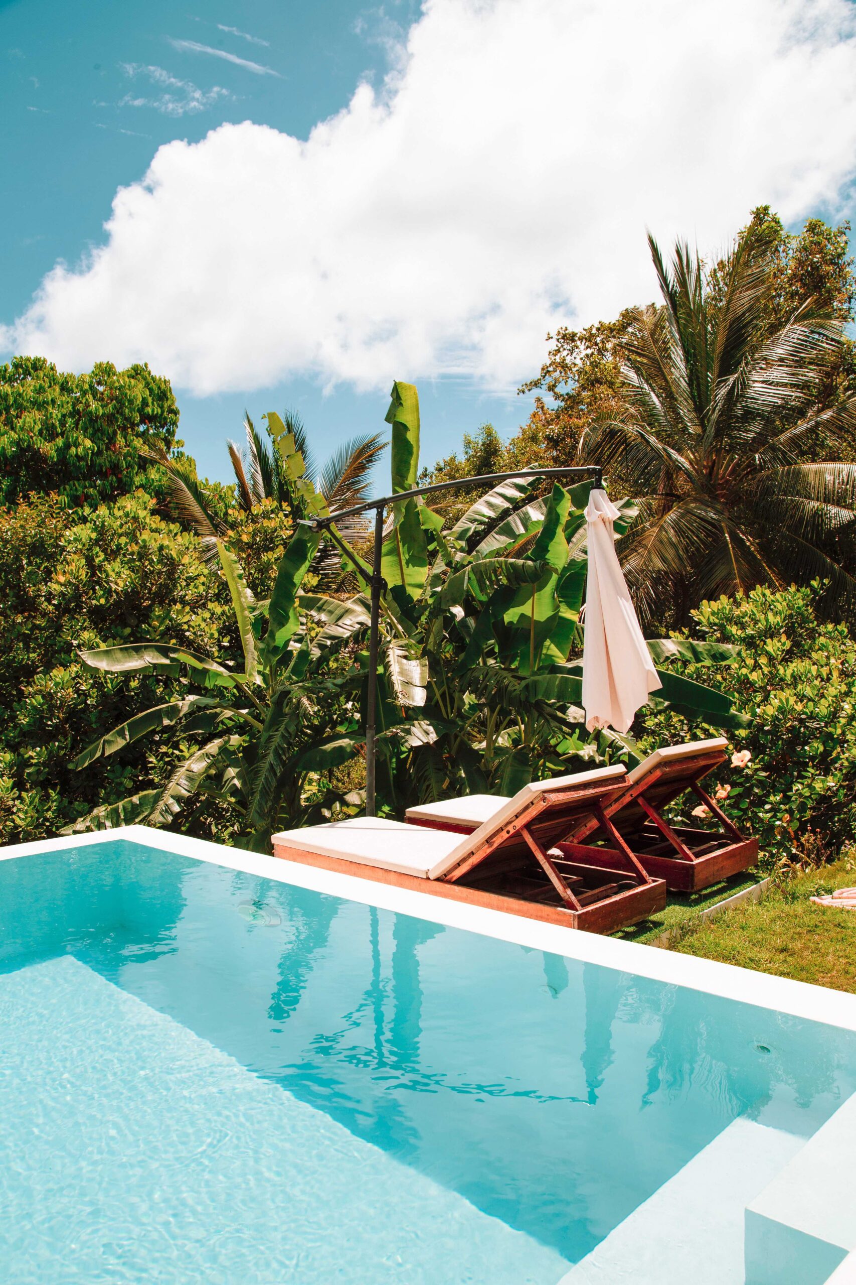 Piscine-paysagisme-vue